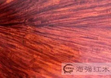 紅木家具圖片 紅木家具