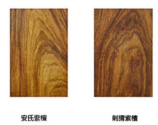 紅木家具圖片 紅木家具圖片