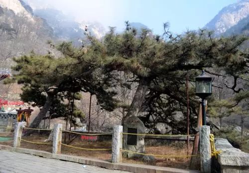 紅木家具圖片 紅木家具圖片