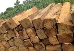 紅木家具圖片 紅木家具圖片