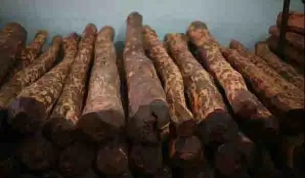 紅木家具圖片 紅木家具圖片