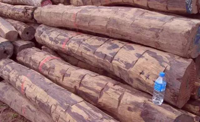 紅木家具圖片 紅木家具圖片