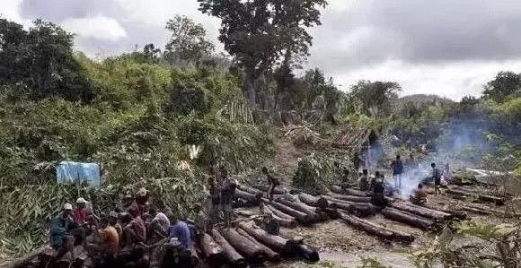 紅木家具圖片 紅木家具圖片