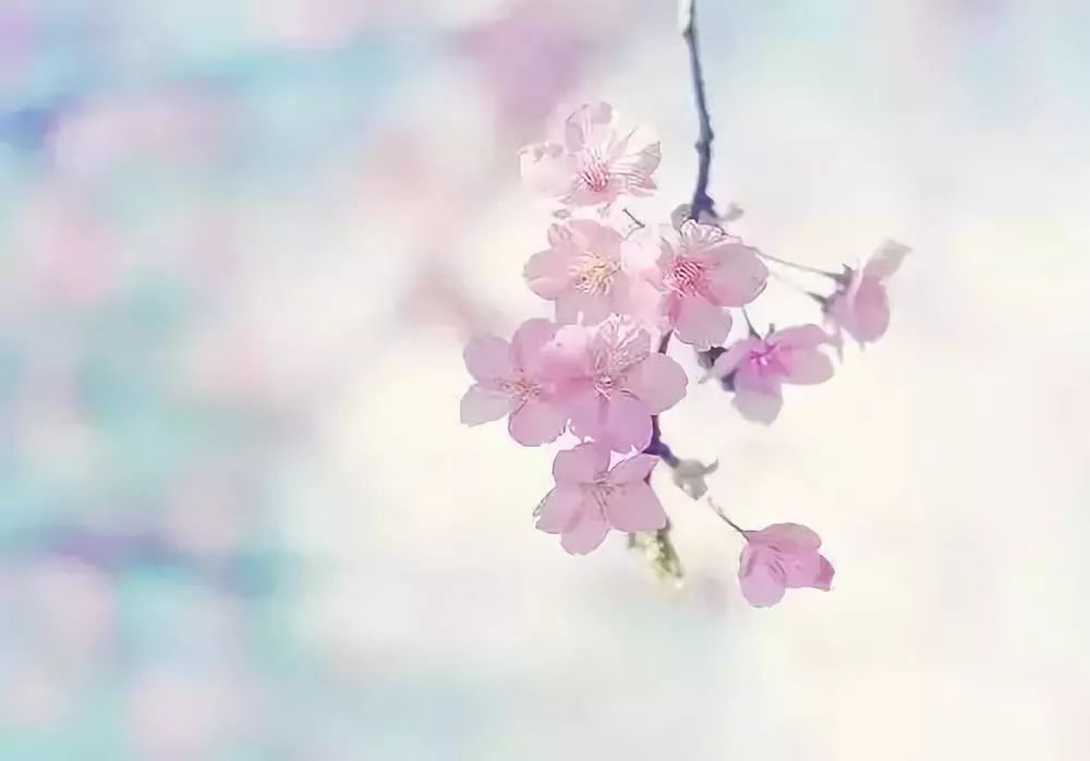 紅木家具圖片 紅木家具圖片