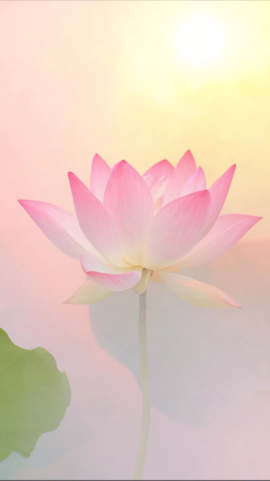 紅木家具圖片 紅木家具圖片