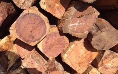 緬甸花梨越來(lái)越受消費(fèi)者青睞的原因在哪？