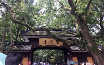 老人用了多年的切菜板竟是百年金絲楠！改造后讓人驚訝！