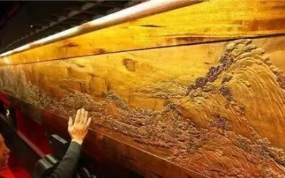 中國最古老的五棵樹，比金絲楠木還珍貴，第一壽命超過五千年