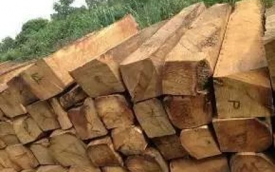 緬花家具如果太便宜，我建議你不要買！