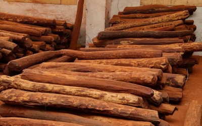 精品紅木家具！！離不開這幾點