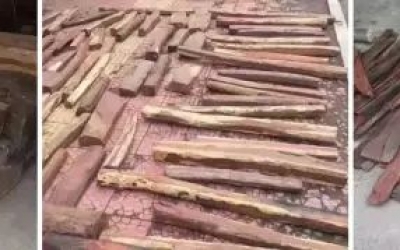 見到大紅酸枝，你首先想到的是價格嗎？