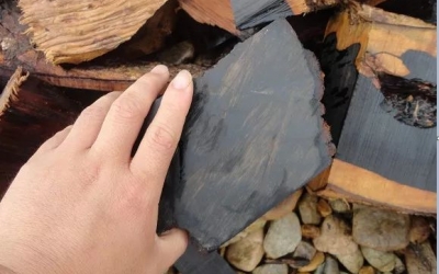 紅木家具的升值，你需要知道什么？