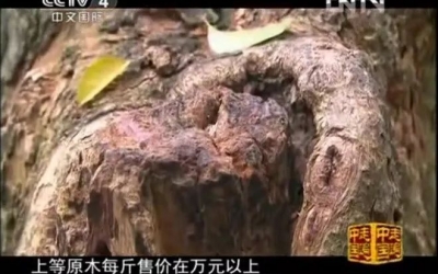 央視：男子18萬收800多斤黃花梨，現在1000萬都不賣！市價1.6萬一斤