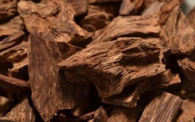 農民挖到極品沉香，最后拍到3000千萬!